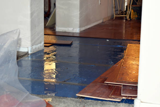 Professional Sewage Cleanup technician working in Concord, MI